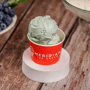 Blue Berry Yogurt